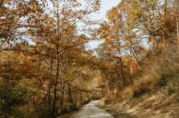 Cozy Modern Cabin| Prime Location in RRG| Firepit