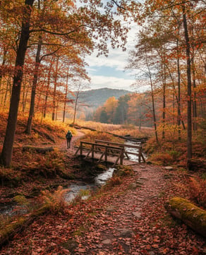 The Trail Home