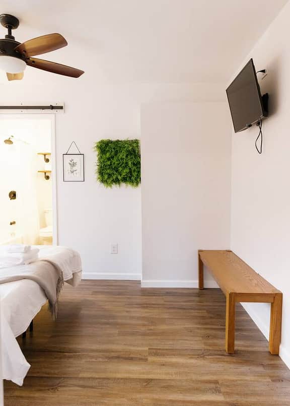Green Oasis| Apartment in Downtown Lexington| 1BD